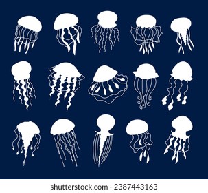 Jellyfish medusa sea jelly animal underwater marine wildlife isolated set. Vector flat graphic design illustration
