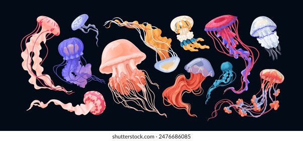 Jellyfish, medusa set. Underwater jelly fishes. Marine animals with tentacles undersea. Gelatinous species. Sea fauna, invertabrates. Colored flat vector illustration isolated on white background