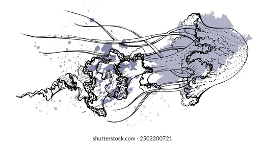 Jellyfish medusa splash Marine life, ocean underwater creature animal, Ink and pen sketch hand drawn. Single object illustration, stylized, isolated on white. Zoo shop, aquarium, cosmetics, resort