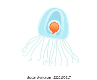 Jellyfish medusa underwater animal blue color vector illustration isolated on white background