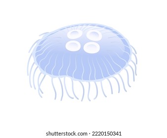 Jellyfish medusa underwater animal blue color vector illustration isolated on white background