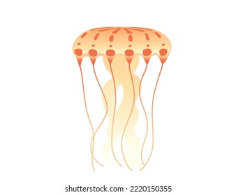 Jellyfish medusa underwater animal orange color vector illustration isolated on white background