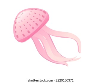 Jellyfish medusa underwater animal pink color vector illustration isolated on white background