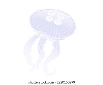 Jellyfish medusa underwater animal purple color vector illustration isolated on white background