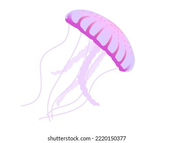 Jellyfish medusa underwater animal purple color vector illustration isolated on white background