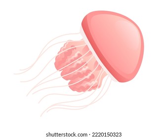 Jellyfish medusa underwater animal red color vector illustration isolated on white background