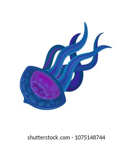 Jellyfish or medusa vector Illustration on a white background