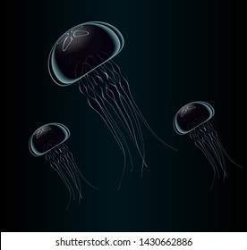 Jellyfish Ocean Dark Dive Poison