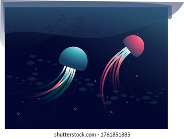 jellyfish in the ocean swim