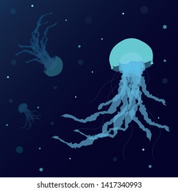 Jellyfish on blue background. Detailed transparent jellyfish. Blue sea jelly on blue background. Vector illustration