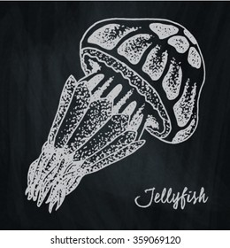 Jellyfish on the chalkboard background