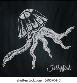 Jellyfish on the chalkboard background