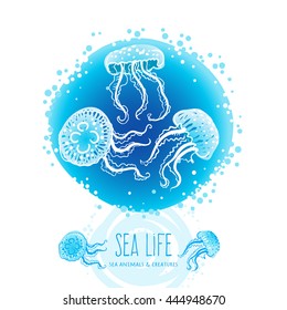 Jellyfish on a round background. Marine life. Sealife design. Maritime characters for invitations, cards, decoration. Ocean pattern with blue tropical creature. Illustration for wallpaper.