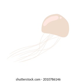 jellyfish on a white background. vector illustration