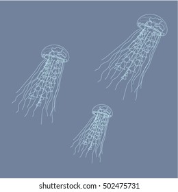 jellyfish outline