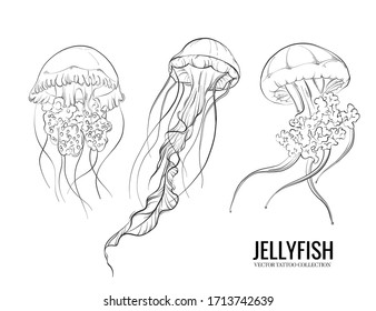 Jellyfish outline hand  drawn doodle marine sketch  underwater jelly fish illustration  medusa line art drawing  animal   tattoo sketch  
