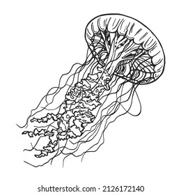 10,148 Jellyfish sketch Images, Stock Photos & Vectors | Shutterstock