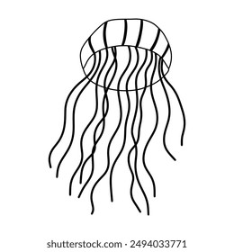 Jellyfish in outline style. Vector icon. 