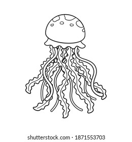 Jellyfish Clipart High Res Stock Images Shutterstock