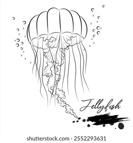 Jellyfish, realistic sea animal sketch, vector illustration