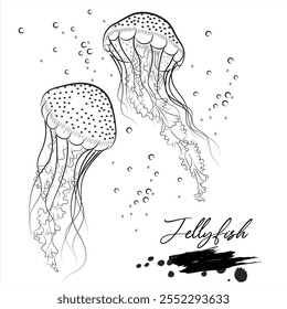 Jellyfish, realistic sea animal sketch, vector illustration