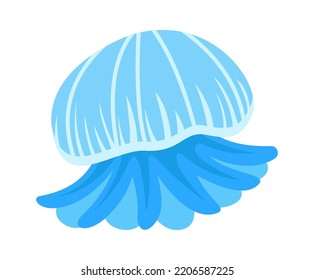 Jellyfish sea animal. Vector illustration