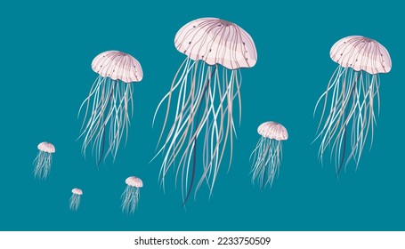 criaturas marinas de jellyfish fondo ilustraciones vectoriales arte