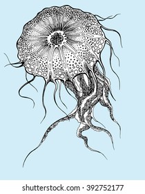 Jellyfish. Sea creatures. A resident of the ocean. Black and white drawing by hand. Line art. Graphic arts. Tattoo.