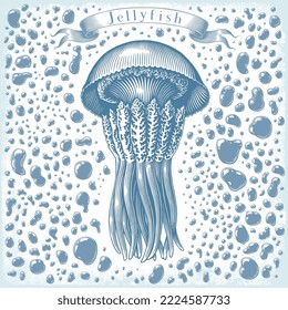 Jellyfish in the sea. Editable hand drawn illustration. Vector vintage engraving. Isolated on white background. 8 eps