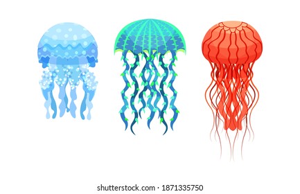 Jellyfish or Sea Jellies as Free-swimming Marine Animal Vector Set