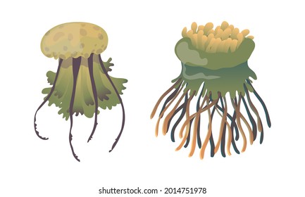 Jellyfish and Sea Jelly as Free-swimming Marine Animal with Umbrella-shaped Bells and Trailing Tentacles Vector Set