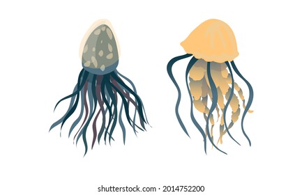 Jellyfish and Sea Jelly as Free-swimming Marine Animal with Umbrella-shaped Bells and Trailing Tentacles Vector Set