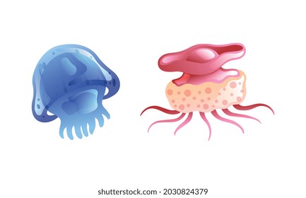 Jellyfish and Sea Jelly as Free-swimming Marine Animal with Umbrella-shaped Bells and Trailing Tentacles Vector Set