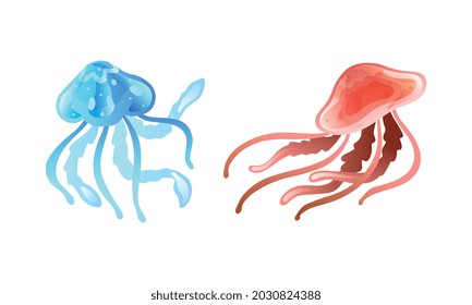 Jellyfish and Sea Jelly as Free-swimming Marine Animal with Umbrella-shaped Bells and Trailing Tentacles Vector Set