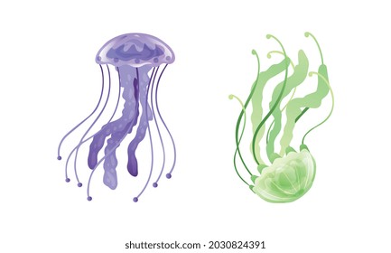 Jellyfish and Sea Jelly as Free-swimming Marine Animal with Umbrella-shaped Bells and Trailing Tentacles Vector Set