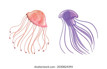 Jellyfish and Sea Jelly as Free-swimming Marine Animal with Umbrella-shaped Bells and Trailing Tentacles Vector Set