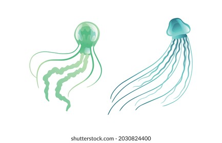 Jellyfish and Sea Jelly as Free-swimming Marine Animal with Umbrella-shaped Bells and Trailing Tentacles Vector Set