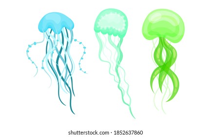 Jellyfish or Sea Jelly as Marine Animal with Umbrella-shaped Bell and Tentacles Vector Set