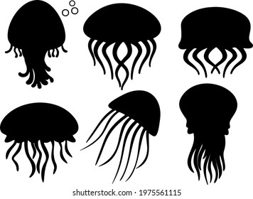 Jellyfish sea  in the set. Vector image.