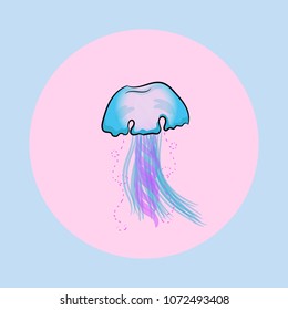 a jellyfish, sealife