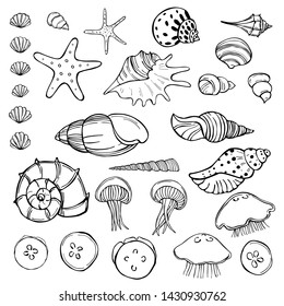 Jellyfish and seashells. Vector sketch  illustration.
