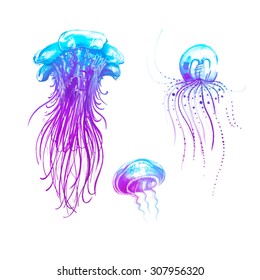  jellyfish set 3