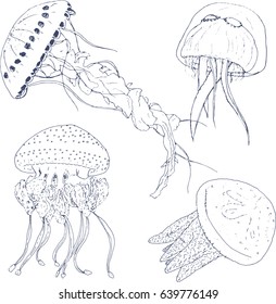 Jellyfish set. Hand Drawn style