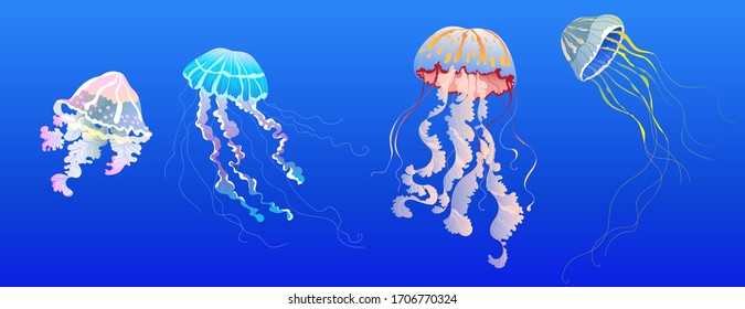 Jellyfish set. Hand-drawn realistic vector jellyfish collection for banner, card design. Tropical, exotic sea animals. Modern transparent medusa. Isolated elements. 