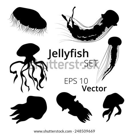 Jellyfish Set Vector Silhouettes Stock Vector (Royalty Free) 248509669