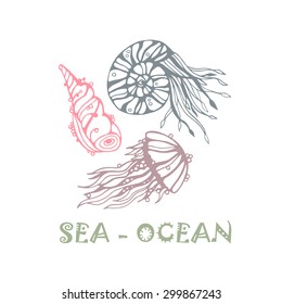 Jellyfish and shells on white background.