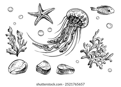 Jellyfish, shells, starfish, fish, bubbles, pebbles and other sea animals and plants. Graphic illustration hand drawn in black ink. Set of isolated objects EPS vector.