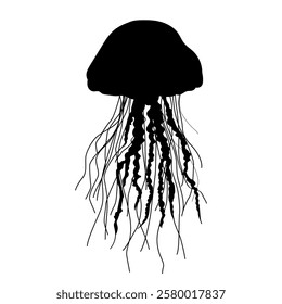 jellyfish silhouette on white background