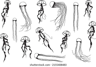 Jellyfish silhouettes. Elements outline set. Basis graphics