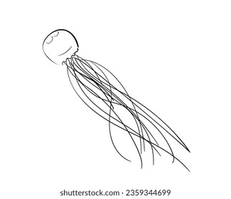 Jellyfish sketch isolated, Simple drawing of sea creature medusa vector illustration